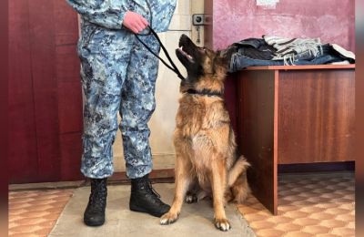 Колонию в Кунгуре обязали выплатить кинологам более 320 тысяч рублей за неоплаченную сверхурочную работу